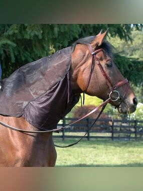 Cashel Quiet Ride Hood